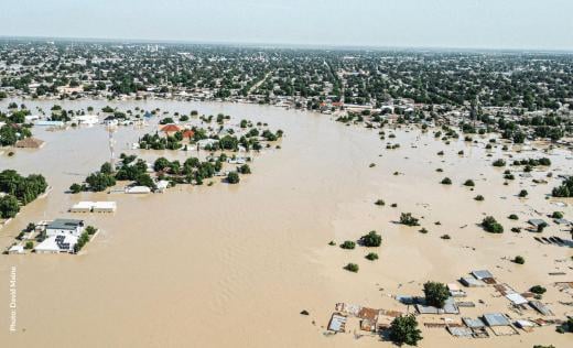 Flood in Borno state