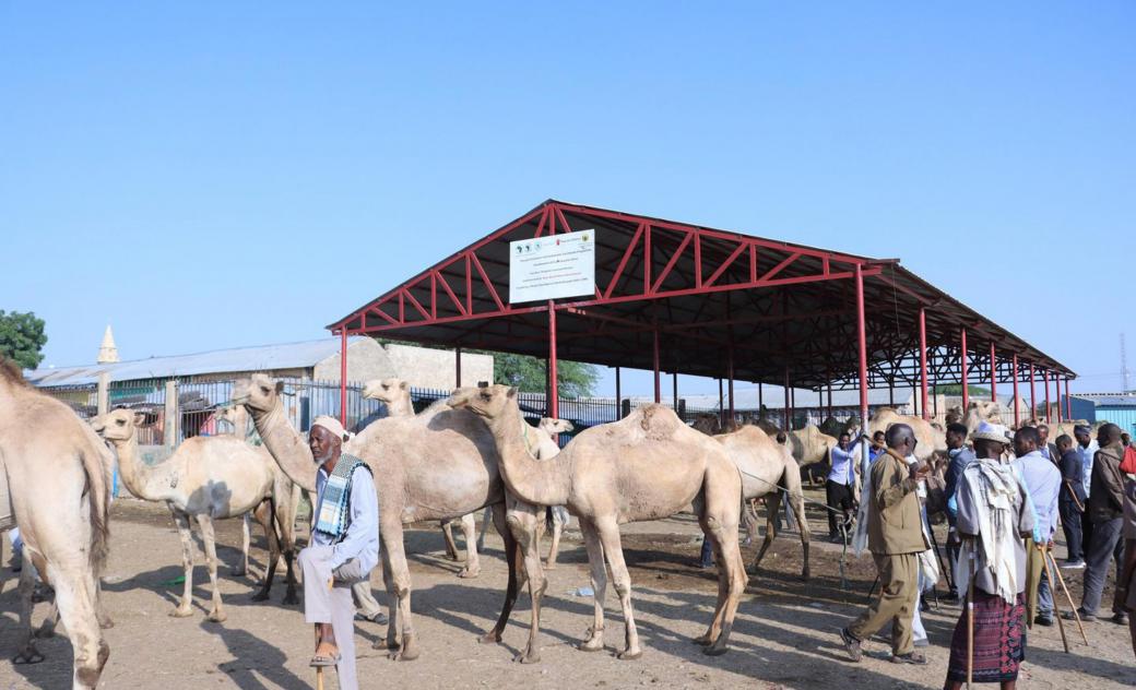 save-the-children-african-development-bank-funded-livestock-market-is