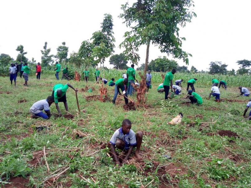 Nginga primary school pupils plant trees. Apio Josephine / Save the Children