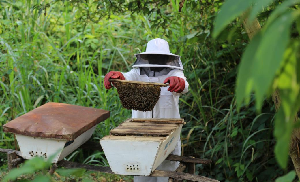 Save The Children | Beekeepers Create A Buzz In Western Uganda | Uganda