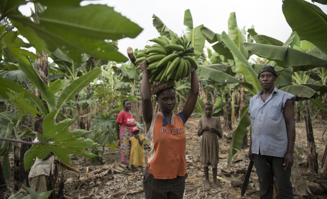 Save the Children Banana farmers find hope after disaster Uganda